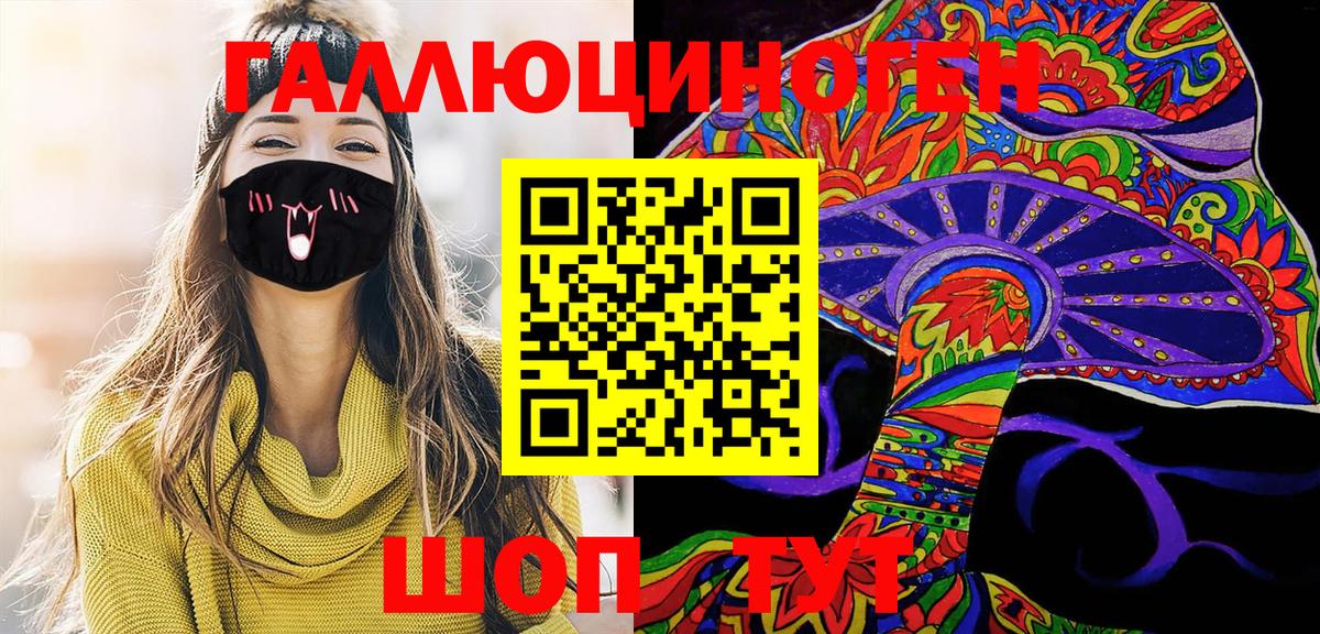 Псилоцибиновые грибы Psilocybe Кашира